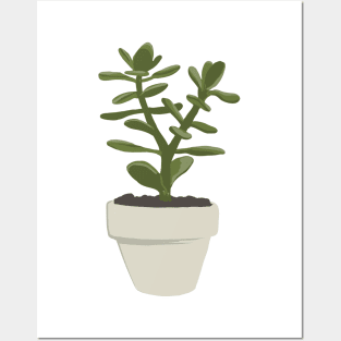 CNS Crassula Ovata - Convoluta Posters and Art